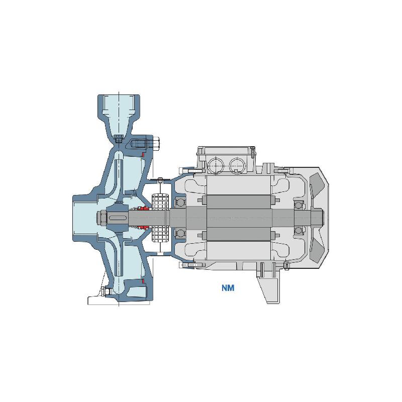 Pompe de surface gros débit Calpeda NM25160A - 1,50 kW 12 m3/h 380V - Pompe centrifuge monobloc en fonte pour eau claire_3