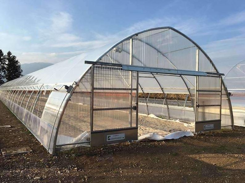 Serre à travée unique  idéale pour les agriculteurs et les amateurs - Tunnelart_3