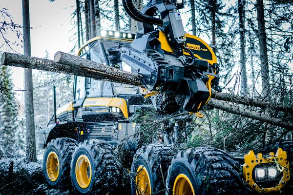 H5 - tête d'abattage Ponsse SA - poids minimum 900 kg - productivité élevée et éclaircissage efficace_3