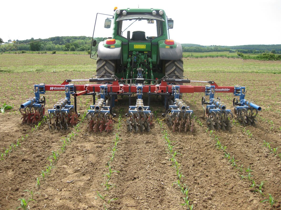 Bineuse à étoiles - Thomas Hatzenbichler Agro-Technik - Parallélogramme robuste à large roue Farmflex - Réglage polyvalent et adapté aux cultures en lignes_3