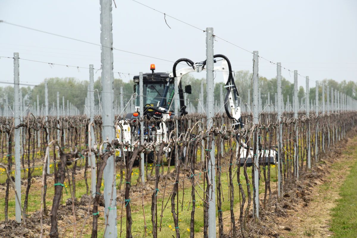 Juice broyeur d'accotement - Hymach - 5 m - pour vignes, vergers et zones avec obstacles_3