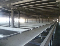 Convoyeur à bande - conception robuste - moteurs IE3 - sur mesure pour agricole, industrie et tertiaire_3