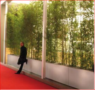 Jardinière rectangulaire avec options de double fond et roulettes