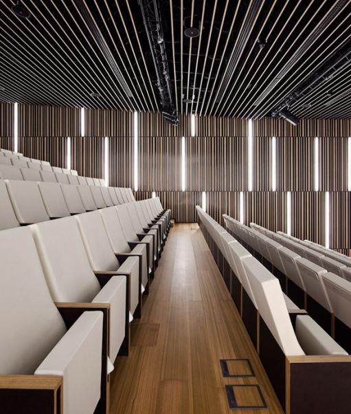 Siège de  spectacle en mousse injectée pour un confort optimal_3