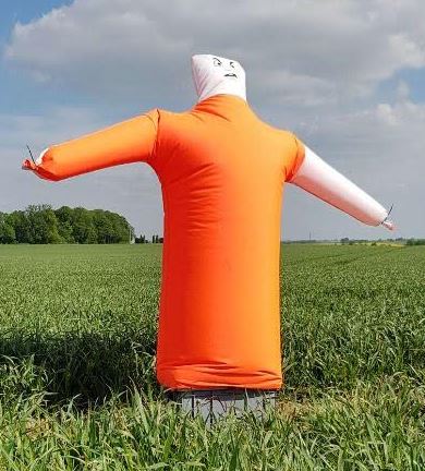 Dispositif anti-oiseaux idéal pour semis et infrastructures agricoles