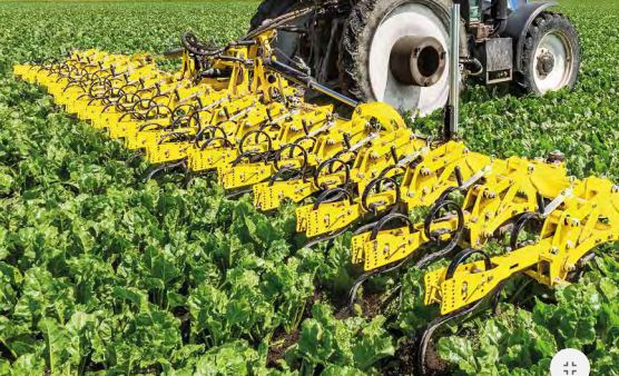 Row_master rn bineuses inter-rangs - bednar fmt s.R.O. - largeur de travail 4,8- 9,6 m_3