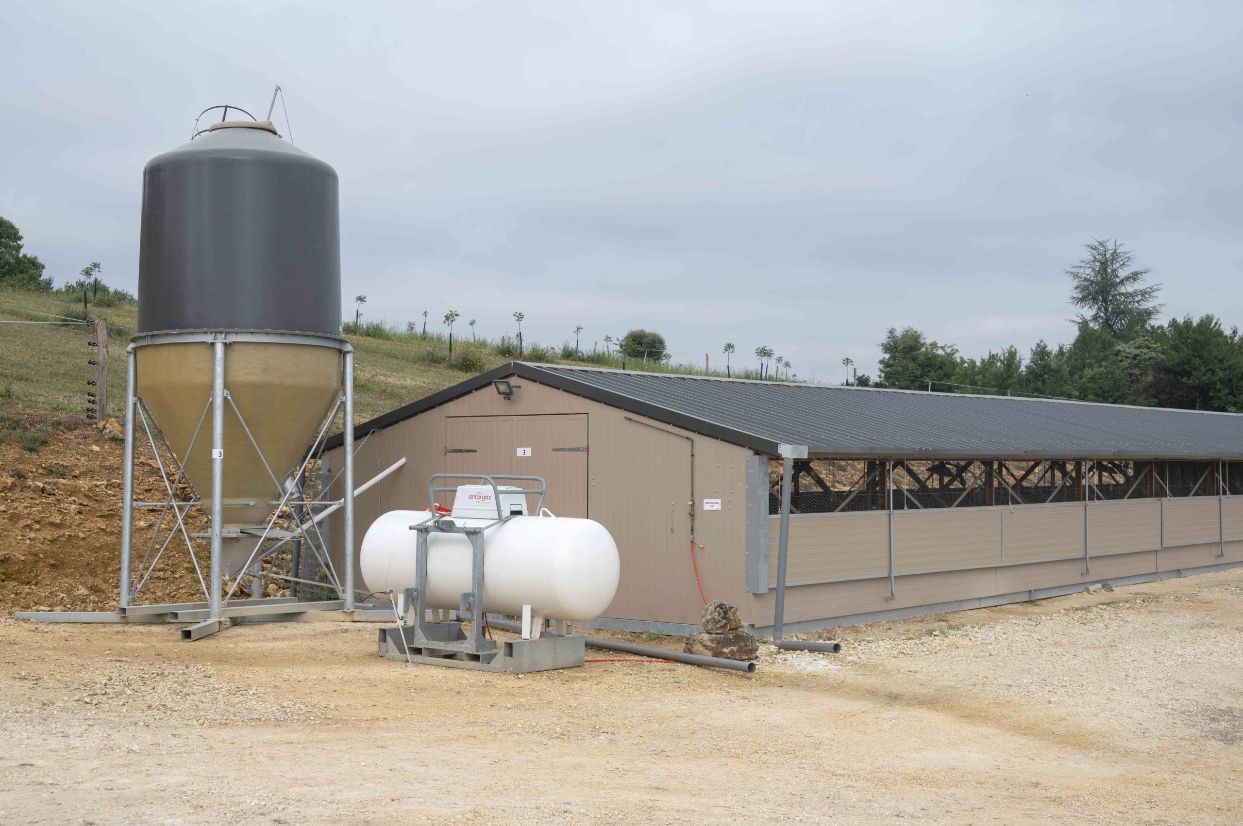 Installation avicole avec chauffage gaz et régulation individuelle