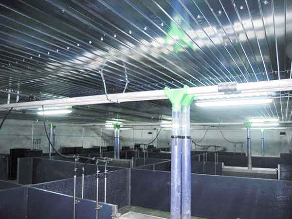 Matériels et installations de distribution d'aliments en élevage - aménagement des salles et distribution par vis souple, chaîne à pastille et bi-phase_3