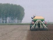 DSK 3000 - Semoir agricole - Damax SRL - Largeur de travail 3,00 m - Versions bottine, disque simple et double_3