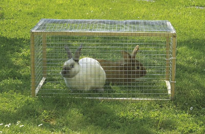 Grillage métal plastifié Fensanet Plast 25 - 0,50 x 5 m - maille 25,4 x 25,4 mm - épaisseur 0,85/1,2 mm_3