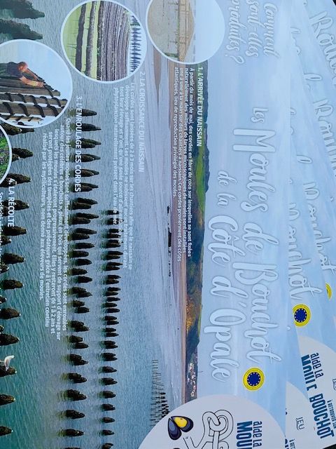 Set de table personnalisables - tout format - offset ou couché blanc brillant/mat, plastifié_3