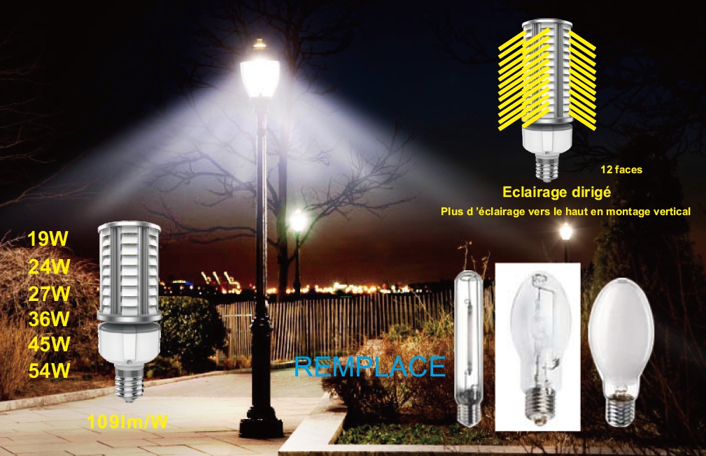 Ampoule led eclairage public_3