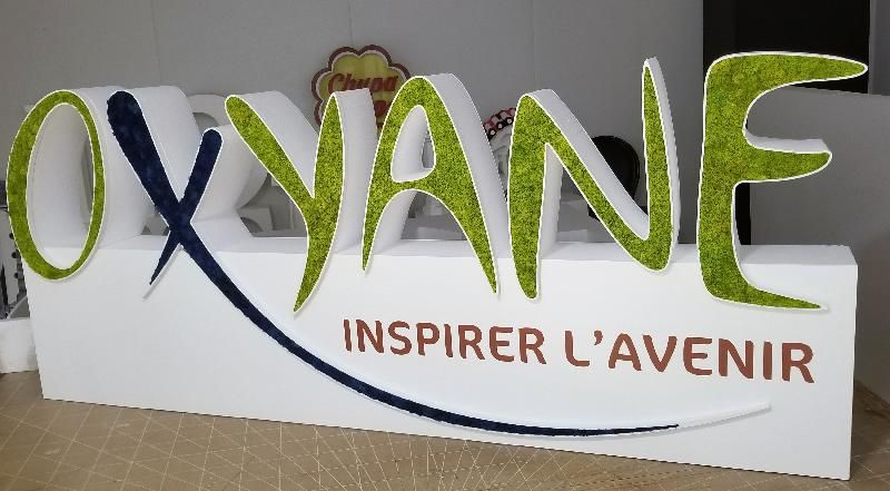 Lettres et/ou logo en polystyrène 3D et lichen scandinave - noir_4