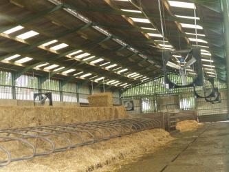 Ventilateur nouvelle génération avec hélices optimisées Abbifan XXP