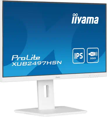 Iiyama ProLite XUB2497HSN-W2 écran plat de PC 60,5 cm (23.8
