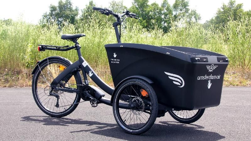 Triporteur électrique Triobike Boxter CL - Bosch Cargo Line - 4 enfants - 545 Wh_3