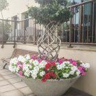 Jardinière en béton Uve - Jardinière circulaire élégante et minimaliste - Blanc / Gris / Ocre / Finition petra 1_3