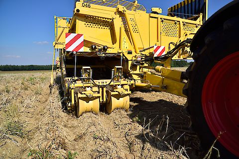 Machine agricole pour pommes de terre avec système de remplissage automatique de trémie