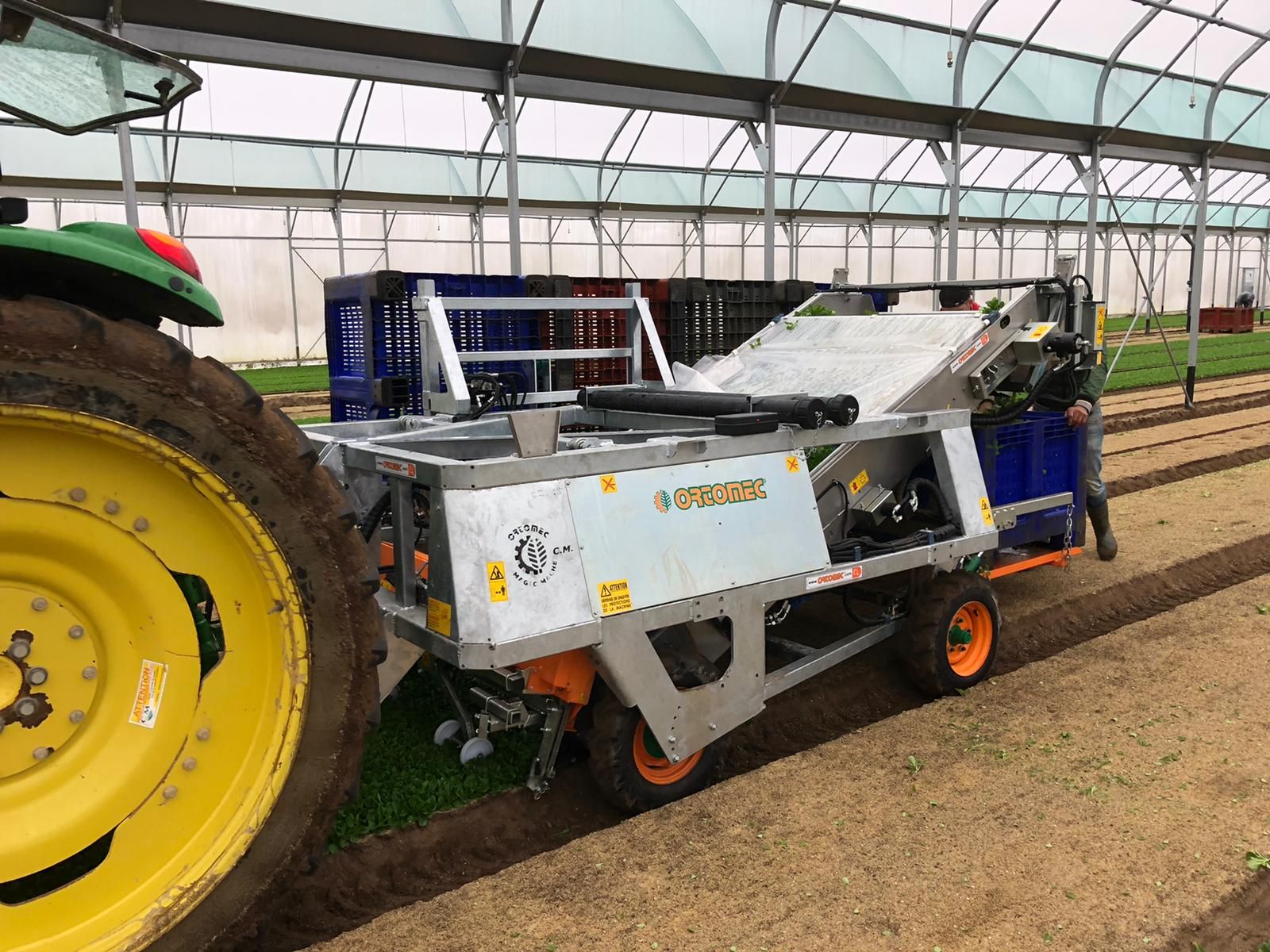 Récolteuse MAGIC MÂCHE - Ortomec SRL - montée sur tracteur avec système No Stop et NEW HERBEX_3