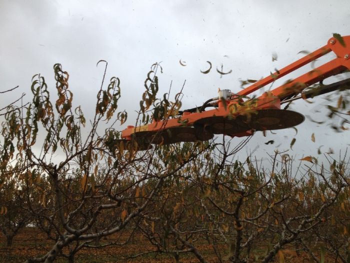 Jyrafa - prétailleuse - corbins - module de cisaillement de 5 disques de 600 mm de diamètre_3