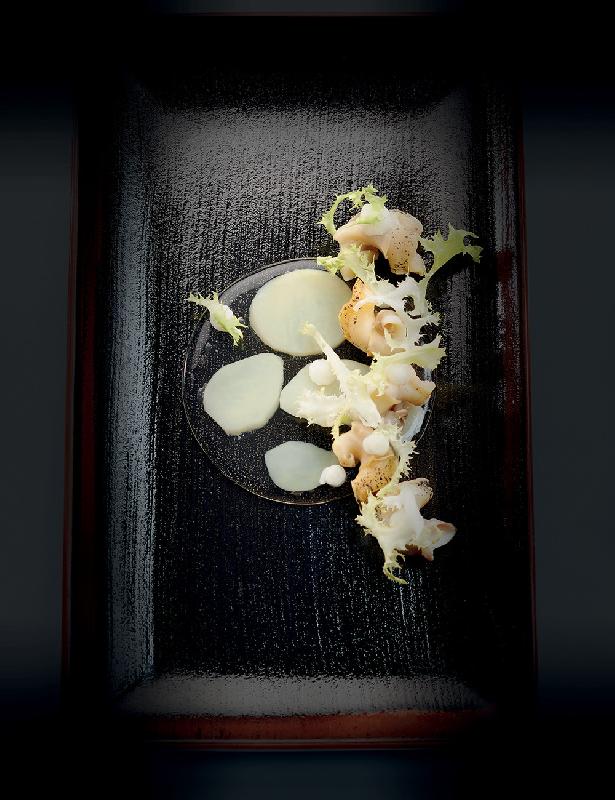 Disco Piccolo - Moule en silicone Gourmand Pavoni Italia - 11 empreintes_3