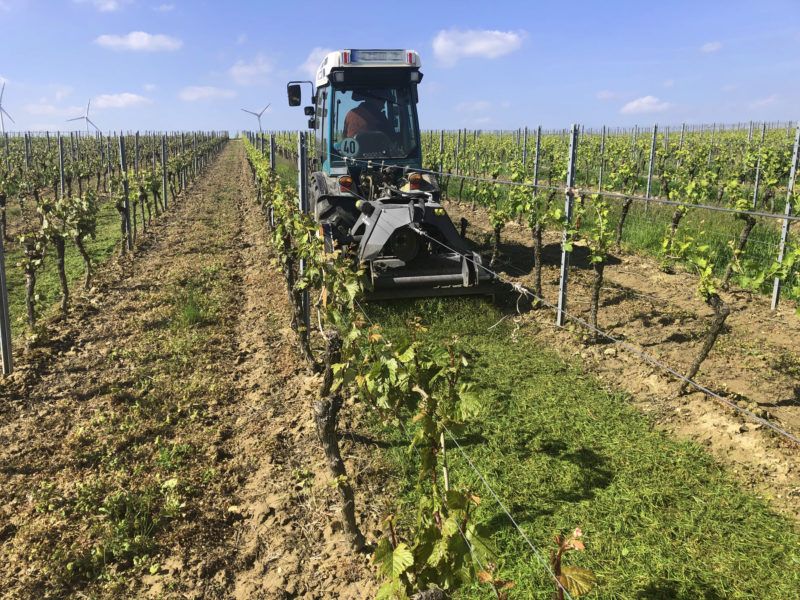 Broyeur forestier TGN - TMC Cancela - largeur de travail 130 à 200 cm_3