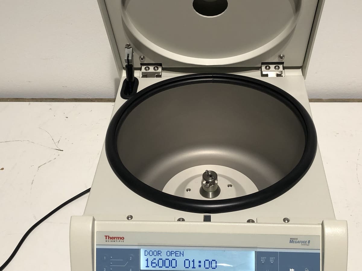 Centrifugeuse de laboratoire avec rotors angulaires flexibles reconditionné - thermofisher megafuge 8 - p20060684_3