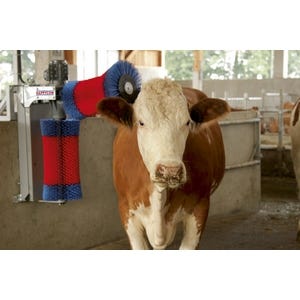 Brosse à vaches - HAPPYCOW DUO pour irrigation de la peau et stimulation du métabolisme, avec poils en polyamide et système électronique avancé_3