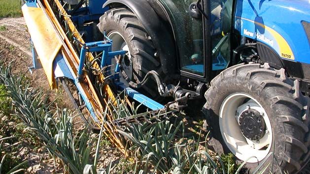 Récolteuse de poireaux P250 - Carpi Meccanica S.N.C - mono-rang demi-porté, courroies souples, soc oscillant hydraulique_3