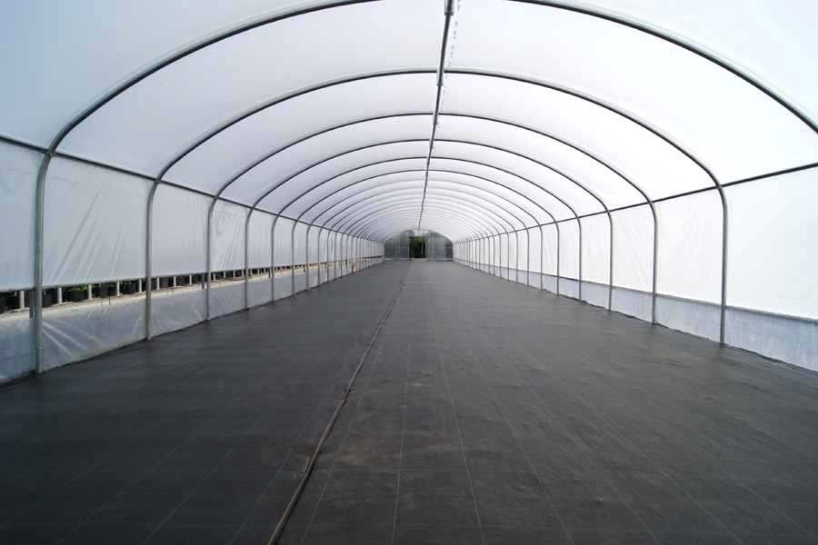 Serre tunnel 6 mètres pour culture sous abri professionnel