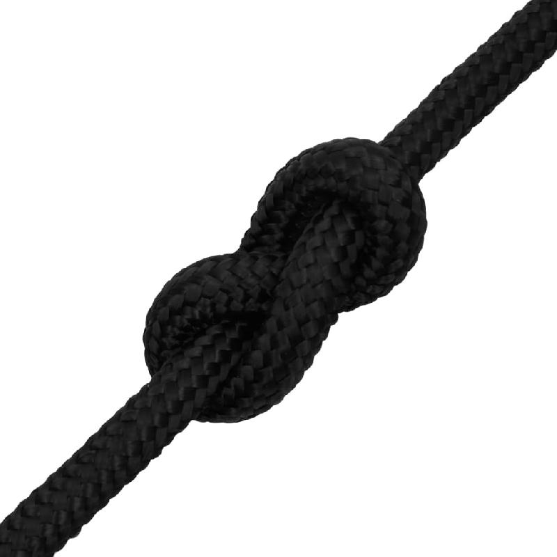 Vidaxl corde de bateau noir complet 16 mm 250 m polypropylène 152522_3