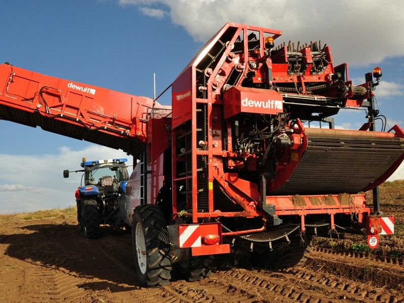 Arracheuse par tamissage r2060 - dewulf bv - capacité du trémie 7 t_3