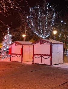 Chalet pliable neuf 4 m - Montage en 5 minutes avec structure en acier galvanisé et bois épicéa_3