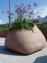Coast - Jardinières en béton - Urbastyle - Grand format pour petits arbres_3