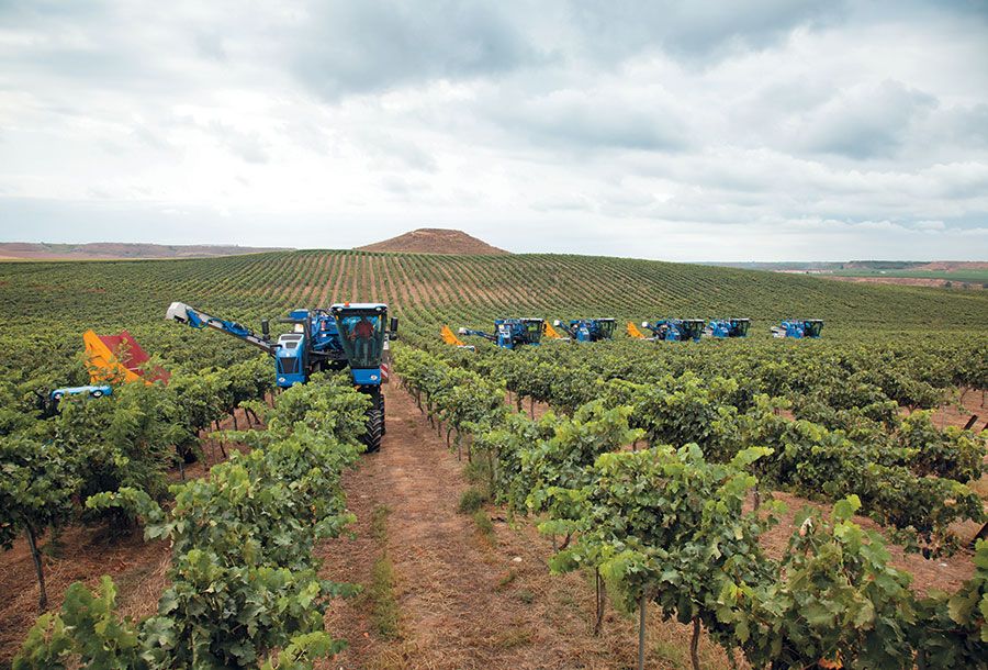 Braud 9090x Dual New Holland pour récolte de raisins