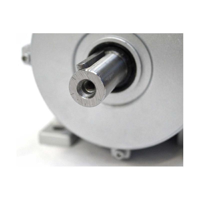 Moteur électrique triphasé 230/400V - 0.3kW - 3000 tr/min - Bride B3 à pattes - ALMO IP55_3