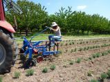 Habicht bineuse agricole - k.U.L.T.-kress - largeur de travail 1- 6 m, avec repliage hydraulique_3