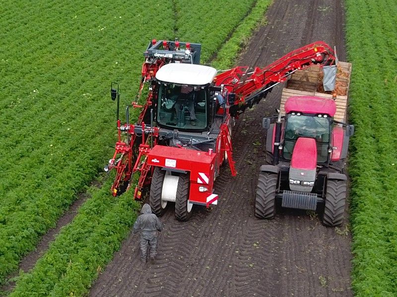Arracheuse par préhension ZKIISE - Dewulf BV - 3 à 4 ha/j - Largeur 3290 mm - Automotrice, 2 rangs, tapis à tétines_3
