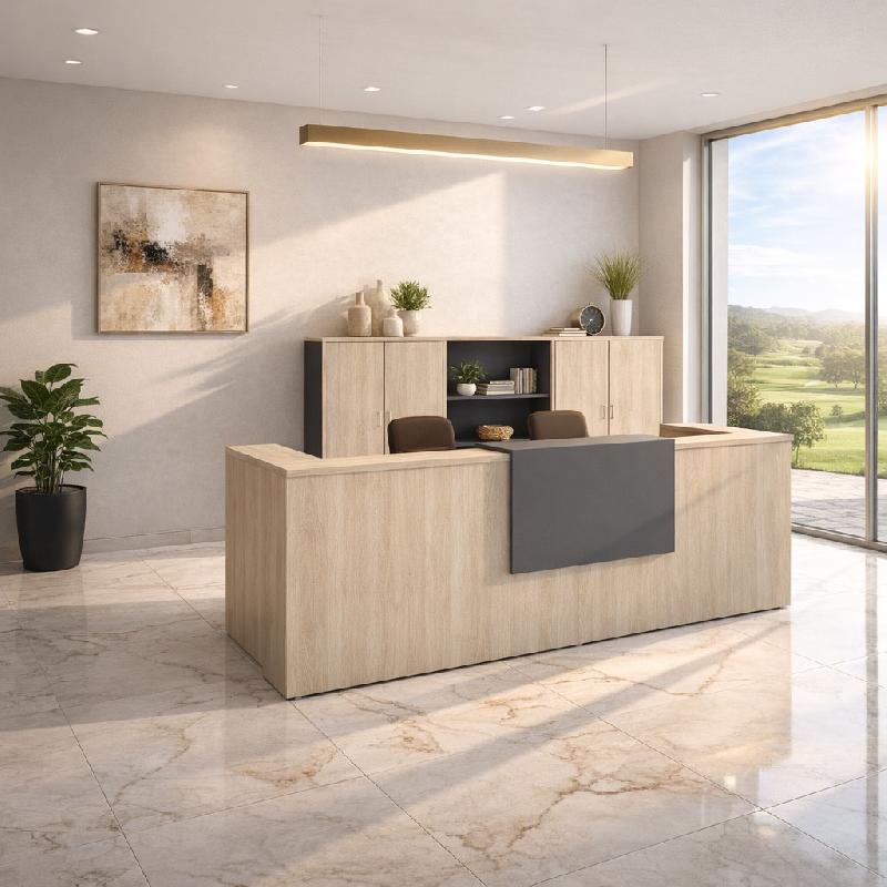 Banque d'accueil 2 personnes delta first avec 1 top - MOBEL LINEA - acacia clair, 324, anthracite_0