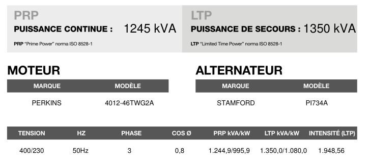 CP-1400 - Groupe électrogène en container triphasé 50 Hz - 1245kVA PRP / 1350kVA LTP - Moteur Perkins, alternateur Stamford_3