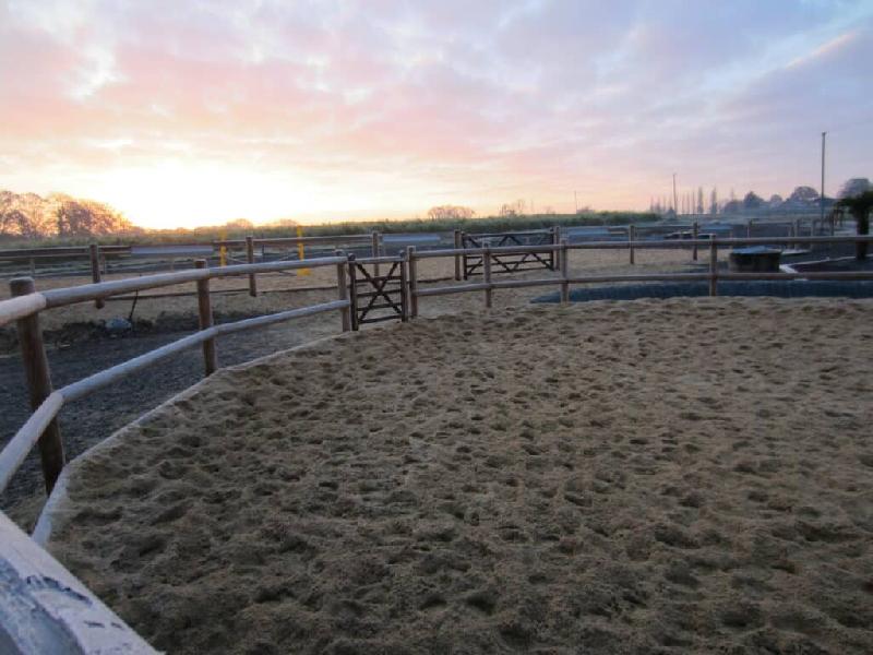 Rond de longe en bois Douglas - poteaux traités classe IV - Diamètres disponibles : 16m, 18m, 20m_3