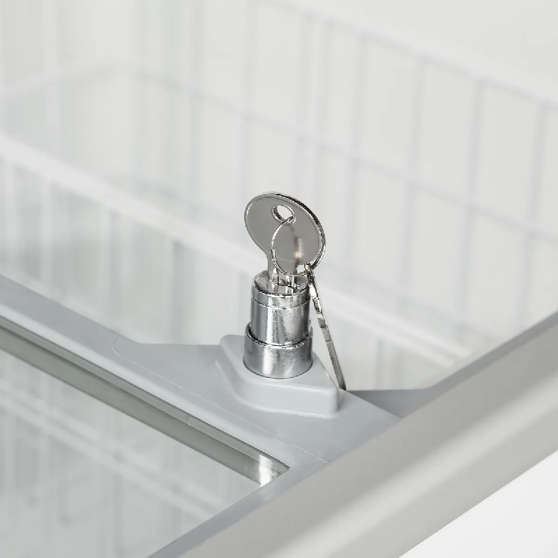 Congélateur vitré de crème glacée IC551SC (555 / 486) blanc TEFCOLD_3