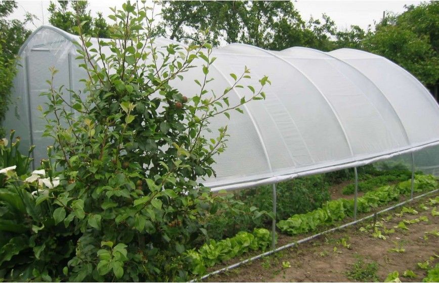 Serre de jardin avec aérations latérales et pieds droits de  0,50 m de haut - GOTHIQUE_4