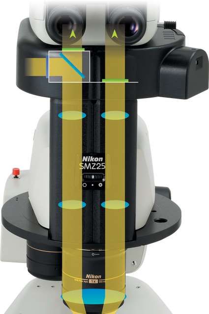 Nikon smz25-smz18 : stéréomicroscopes de recherche_3