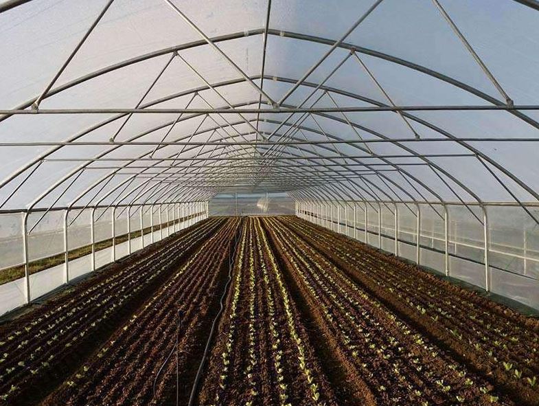 Serre à travée unique idéale pour la production horticole et le stockage de matériel agricole - Easyart_3