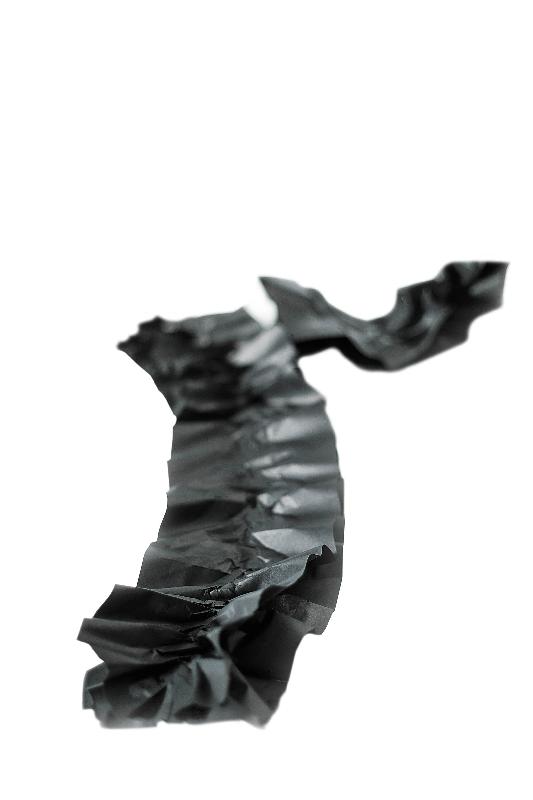 Système de calage papier Paperplus Papillon - 620032A_3