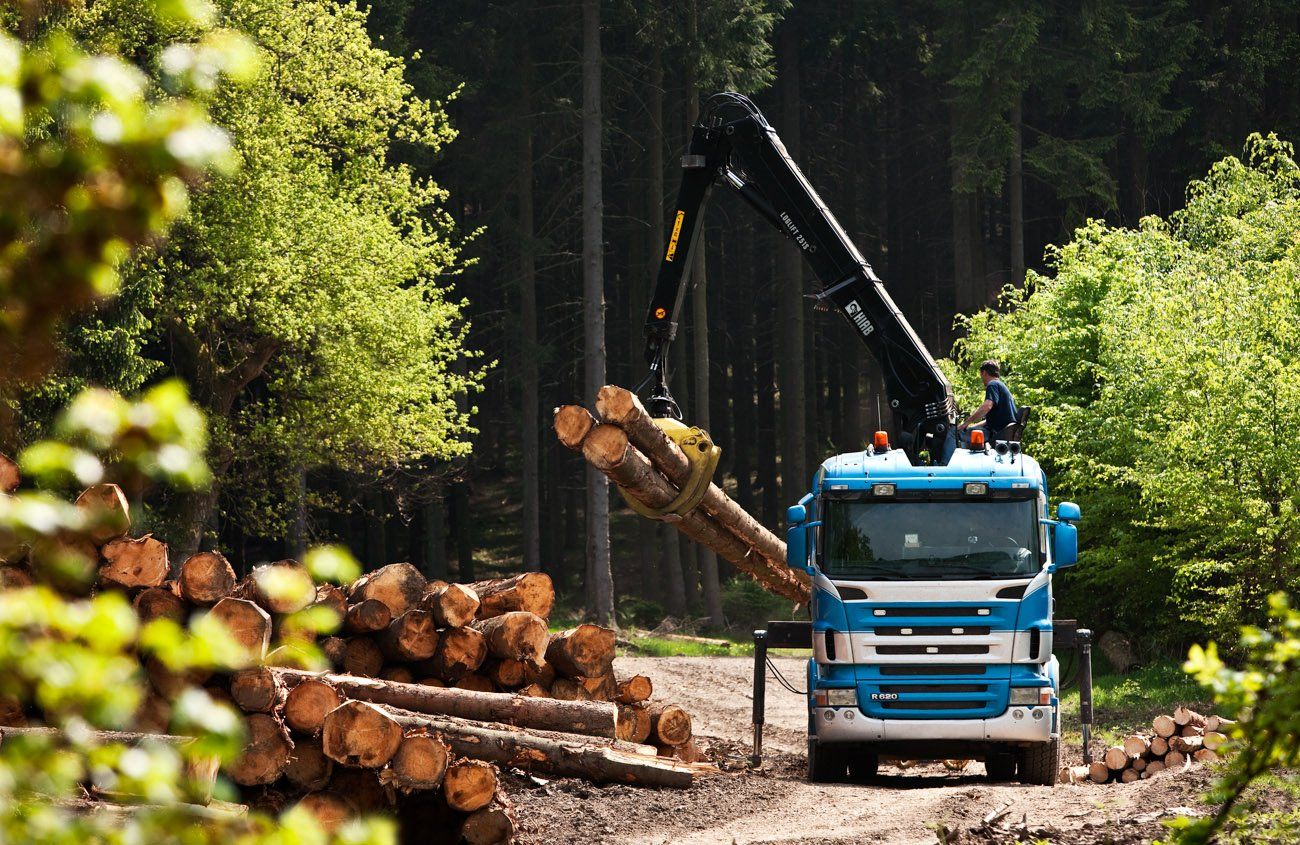 Grue Hiab Loglift 251S avec système de rotation double et angle de 415°