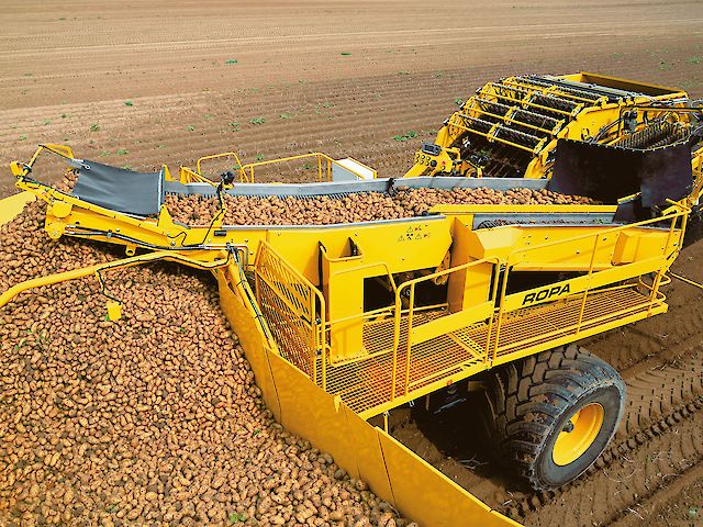 Arracheuse de pommes de terre ROPA Keiler 2L - trémie 5,5 t - entraînement hydraulique_3