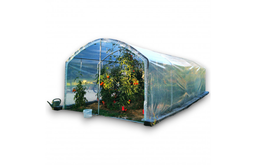 Serre à tomates avec une ventilation optimale et permanente idéale pour la protection des cultures contre les intempéries - 3 à 12 m de long_3