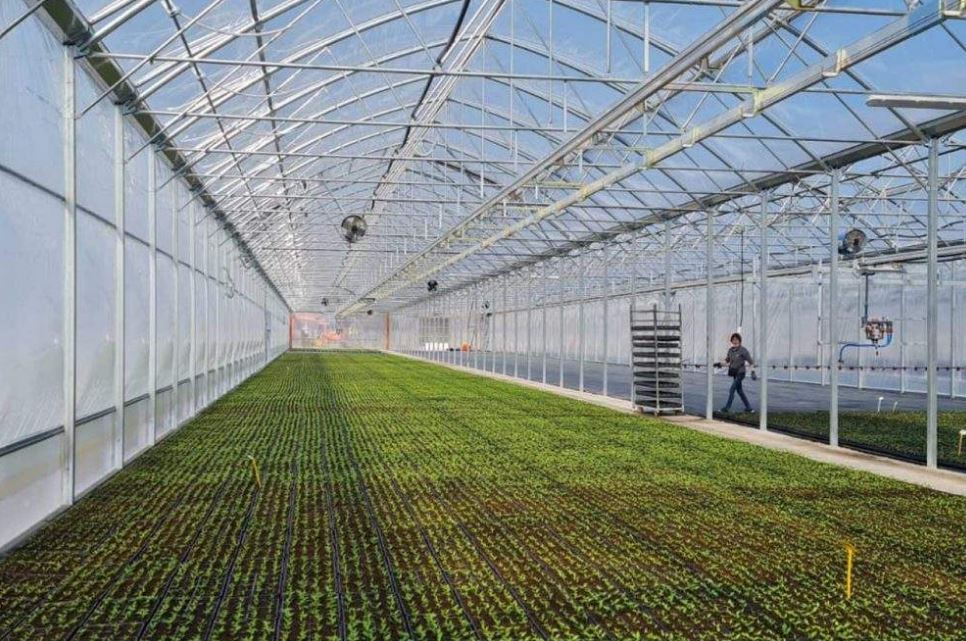 Serre à travées multiples  utilisée dans toutes les zones climatiques - Multiart_3